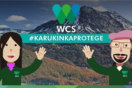 News From WCS Chile: Members needed to help preserve Karukinka -- the biggest protected area on the island of  Tierra del Fuego